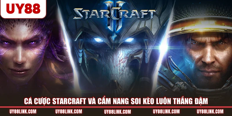 Cá Cược Starcraft Và Cẩm Nang Soi Kèo Luôn Thắng Đậm cá cược starcraft