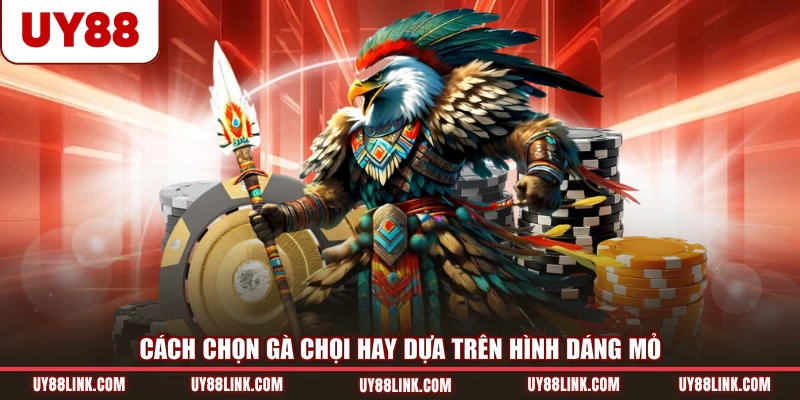 Cách chọn gà chọi hay dựa trên hình dáng mỏ
