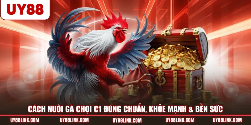 Cách Nuôi Gà Chọi C1 Đúng Chuẩn, Khỏe Mạnh & Bền Sức