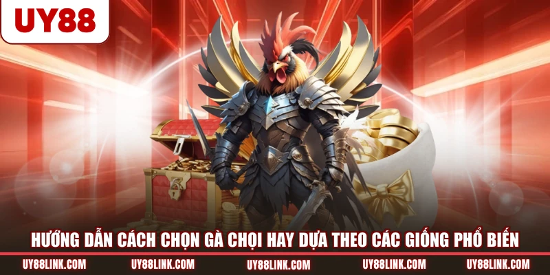 Hướng dẫn cách chọn gà chọi hay dựa theo các giống phổ biến