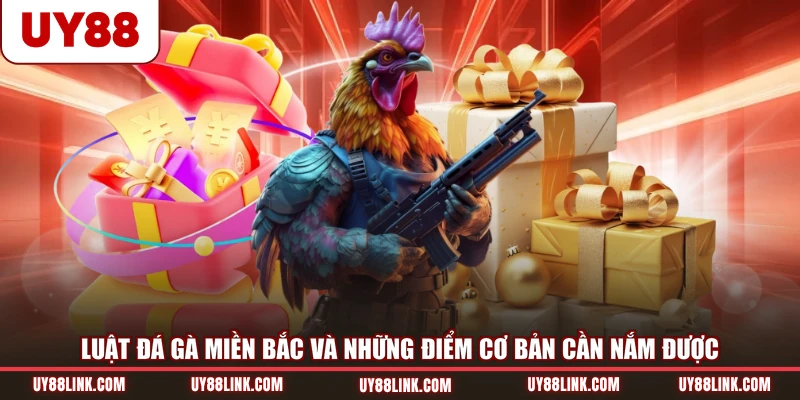 Luật đá gà miền Bắc và những điểm cơ bản cần nắm được