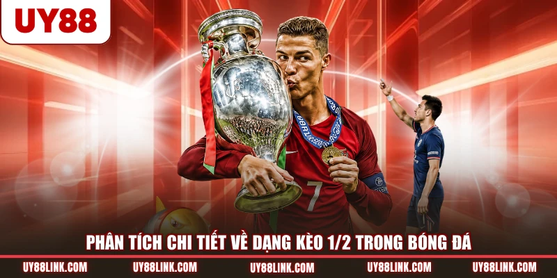 Kèo 1/2 - Mật Bí Cách Trải Nghiệm Kèo Dễ Hiểu Chuẩn Xác