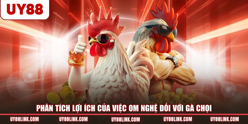 Phân tích lợi ích của việc om nghệ đối với gà chọi