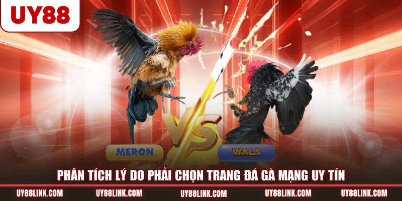 Phân tích lý do phải chọn trang đá gà mạng uy tín