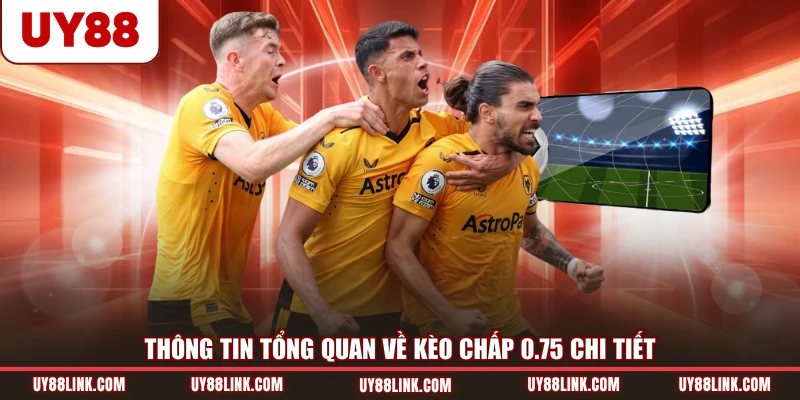 Kèo Chấp 0.75 - Giải Mã Chi Tiết Hiểu Rõ Được Cách Tính Thông tin tổng quan về kèo chấp 0.75 chi tiết