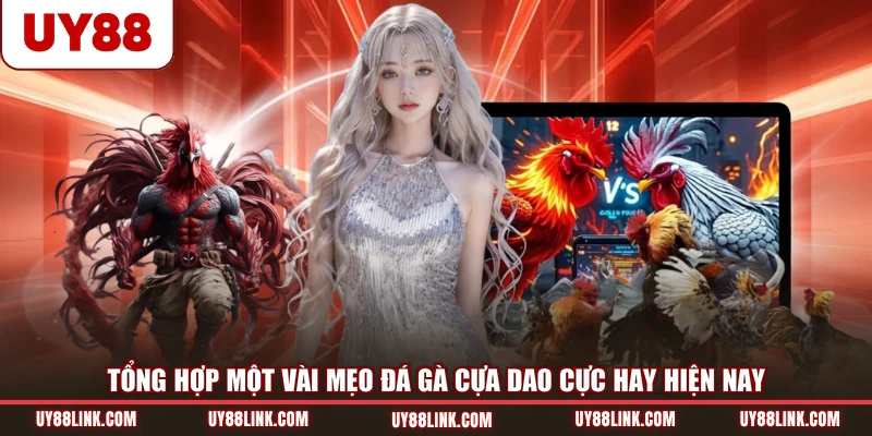 Tổng hợp một vài mẹo đá gà cựa dao cực hay hiện nay