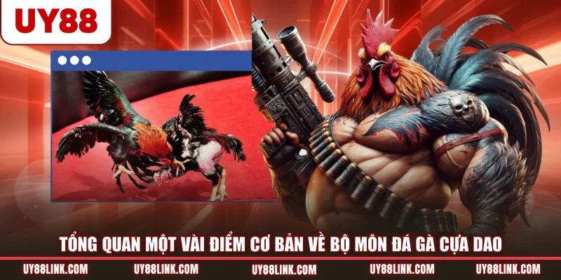Tổng quan một vài điểm cơ bản về bộ môn đá gà cựa dao